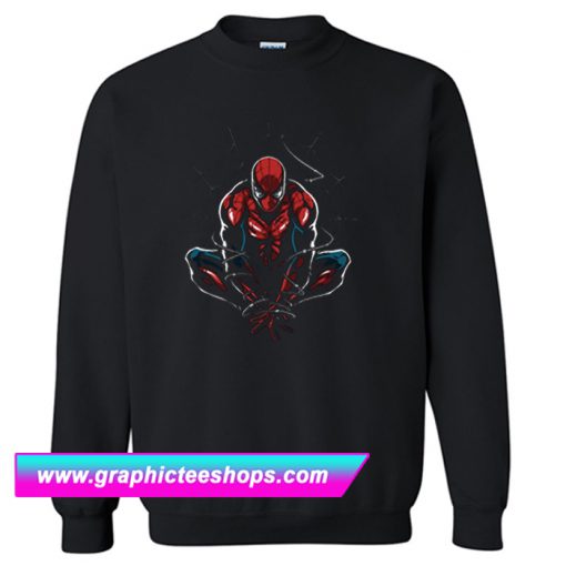 Spiderman Tee Sweatshirt (GPMU)