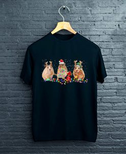 Three Hamster Christmas Lights Santa Hat Xmas Gift T-Shirt T-Shirt FP