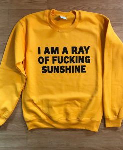 I am a ray of fucking sunshine sweatshirt (GPMU)