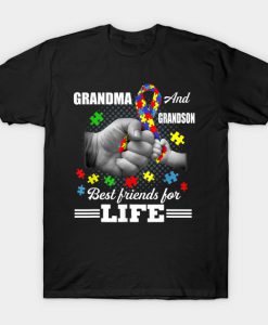 Autism Awareness T Grandma And Grandson Best Friend For T-Shirt AI